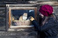 Girl and cat