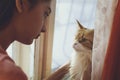 A girl and a cat are looking at each other Royalty Free Stock Photo