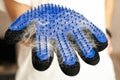 Girl with cat shedding, bathing, grooming, deshedding glove.The glove with cats hair on it. equipment for caring domestic pets and Royalty Free Stock Photo