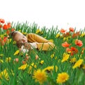 Girl and cat sleeping in grass Royalty Free Stock Photo