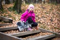 A girl of Caucasian appearance holds in her hands a small papillon dog. Blurred background. Walk in the park Royalty Free Stock Photo