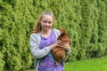 The girl caught the chicken and holds it in her hands Royalty Free Stock Photo