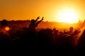 Girl cheering at outdoor music, rock festival Royalty Free Stock Photo