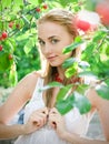 Girl in cherry garden Royalty Free Stock Photo