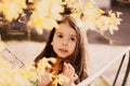 Girl child and forsythia flowers on the branches