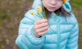 Girl child found and holds in her hands primrose yellow flower Gagea lutea. close photo without face