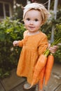 Girl child in garden holding carrots healthy vegan food eating lifestyle Royalty Free Stock Photo