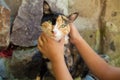 Girl child with her cat in the yard. Brunette  caucasian Royalty Free Stock Photo