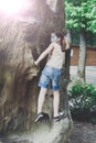 Girl child outdoors climb tree with butterfly face painting Royalty Free Stock Photo