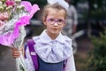 A girl child in school uniform with bows, glasses and a school bag on his back goes to the first class of the school on September Royalty Free Stock Photo