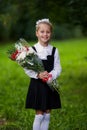 A girl child in school uniform goes to the school on September 1st. The girl is holding a bouquet of flowers. Close-up Royalty Free Stock Photo