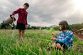 Girl child sitting in organic vegetables garden and blurred boy watering the plants on sky background in rural or countryside Royalty Free Stock Photo