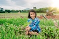 Girl child sitting in organic vegetables garden and blurred boy watering the plants on sky background in rural or countryside Royalty Free Stock Photo