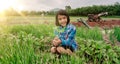 Girl child sitting in organic vegetables garden and blurred boy watering the plants on sky background in rural or countryside Royalty Free Stock Photo