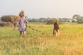 a girl, child summer Sunny day walking the dog on a leash, shepherd on a green grassy meadow Royalty Free Stock Photo