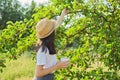 Girl child tearing berries in mug of mulberry tree, summer sunny day background