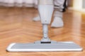 Tidying Up: Girl Cleaning Parquet Floors Royalty Free Stock Photo