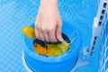 girl cleans skimmer for the frame pool. Contaminated pool cleaning concept Royalty Free Stock Photo