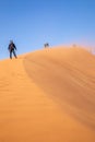 Girl climbing Big Daddy Dune, Sossusvlei, Namib-Naukluft National Park, Namibia. Royalty Free Stock Photo