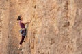 The girl climbs the rock. The climber is training to climb the rock. A strong athlete overcomes a difficult climbing route. Royalty Free Stock Photo