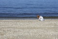 Girl Collecting Shells On Beach