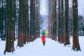 Girl with colourful umbrella in row tree, Nami island in South Korea. Winter in South Korea.