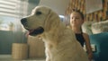 Young girl combing dog Royalty Free Stock Photo