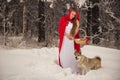 Girl in costume Little Red Riding Hood with dog like a wolf