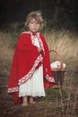 Girl in costume of little red riding hood in forest posing with basket of food Royalty Free Stock Photo