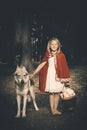 Girl in costume of little red riding hood in forest posing with wolf dog Royalty Free Stock Photo