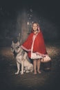 Girl in costume of little red riding hood in forest posing with wolf dog Royalty Free Stock Photo