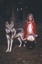 Girl in costume of little red riding hood in forest posing with wolf dog Royalty Free Stock Photo