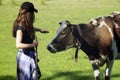 Young woman stroking a cow Royalty Free Stock Photo