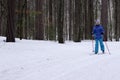 Cross-country skiing in woods Royalty Free Stock Photo