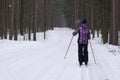 Cross-country skiing in woods Royalty Free Stock Photo