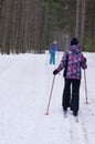 Cross-country skiing in woods Royalty Free Stock Photo