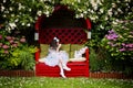 Girl with a cup of tea in garden Royalty Free Stock Photo