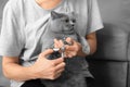 The girl cuts the claws of the cat in the home interior Royalty Free Stock Photo