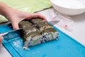 The girl cuts the ready-made sushi in half with a sharp kitchen knife Royalty Free Stock Photo