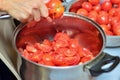 The girl cuts a tomato in half over a saucepan with tomatoes already cut
