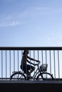 Girl cycling on bicycle bridge. Silhouette seen from low angle through bars in metal railings. Royalty Free Stock Photo