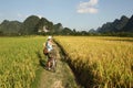 Girl Cycling in China country