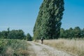 Girl cyclist rides on a field road near tall poplars Royalty Free Stock Photo