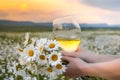 Girl in daisies