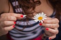 Girl, daisy, petals, Royalty Free Stock Photo