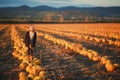 Girl in dark blue coat and orange skirt stands on pumpkins on the field on sunset. Halloween. Beautiful landscape in Royalty Free Stock Photo