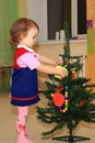 Girl decorates a conifer.