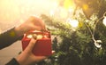 Girl is decorating christmas tree with lights. Present box with toys in woman`s hands. Love and holidays concept. New Year mood. Royalty Free Stock Photo