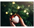 Girl is decorating christmas tree with lights. Present box with toys in woman`s hands. White fluffy heart. Love and holidays Royalty Free Stock Photo