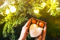 Girl is decorating christmas tree with lights. Present box with toys in woman`s hands. White fluffy heart. Love and holidays Royalty Free Stock Photo